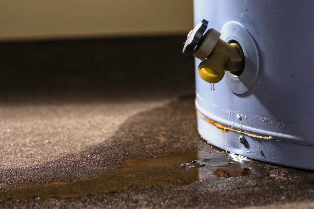 Best Professional water damage repair  in Wynnewood, OK