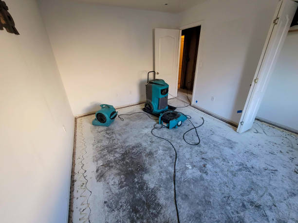Carpet water damage restoration in Wynnewood, OK